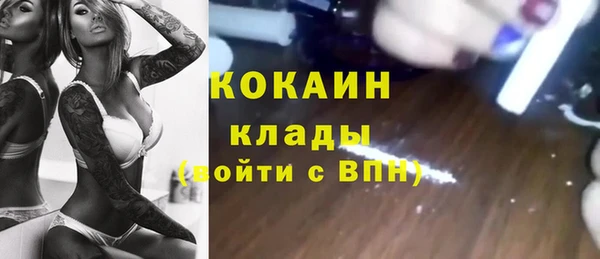 гидра Коряжма