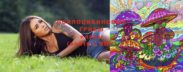 герыч Корсаков