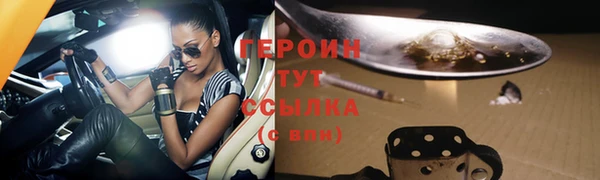 гидра Коряжма