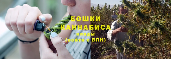 дмт Костерёво
