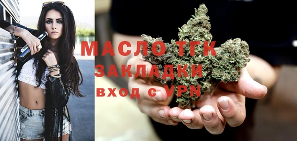 гидра Коряжма