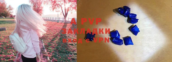 герыч Корсаков