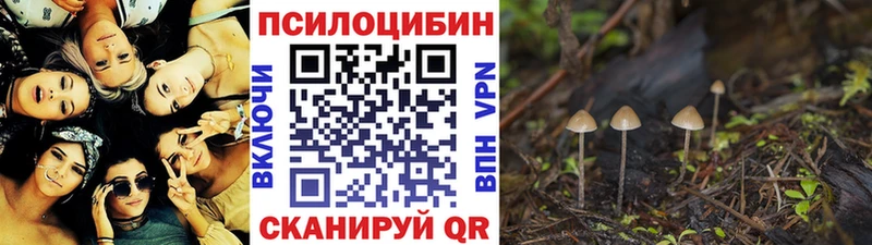 Купить  Истра  Псилоцибиновые грибы мухоморы 